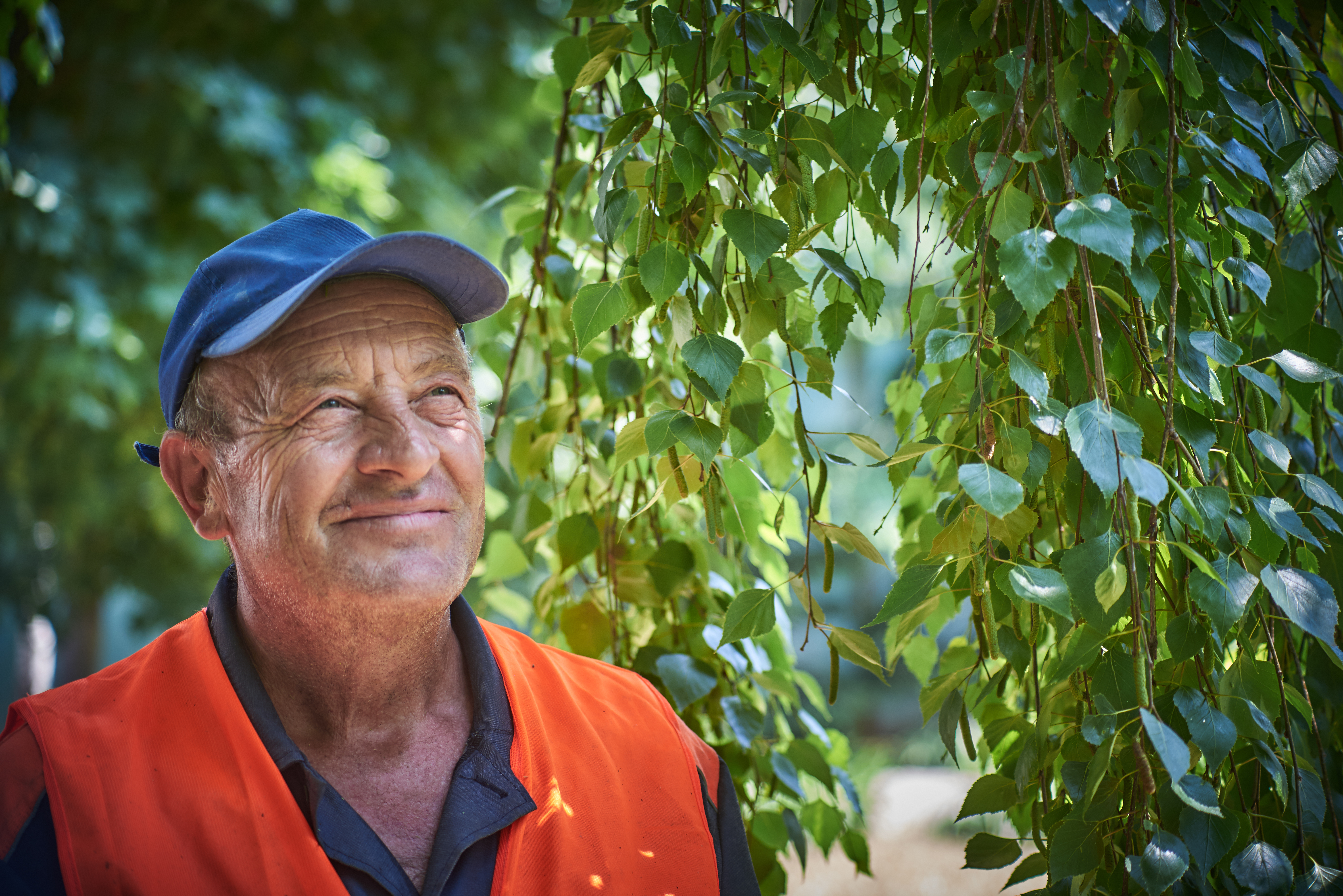 An older man in safety vest looks out from beneath a tree