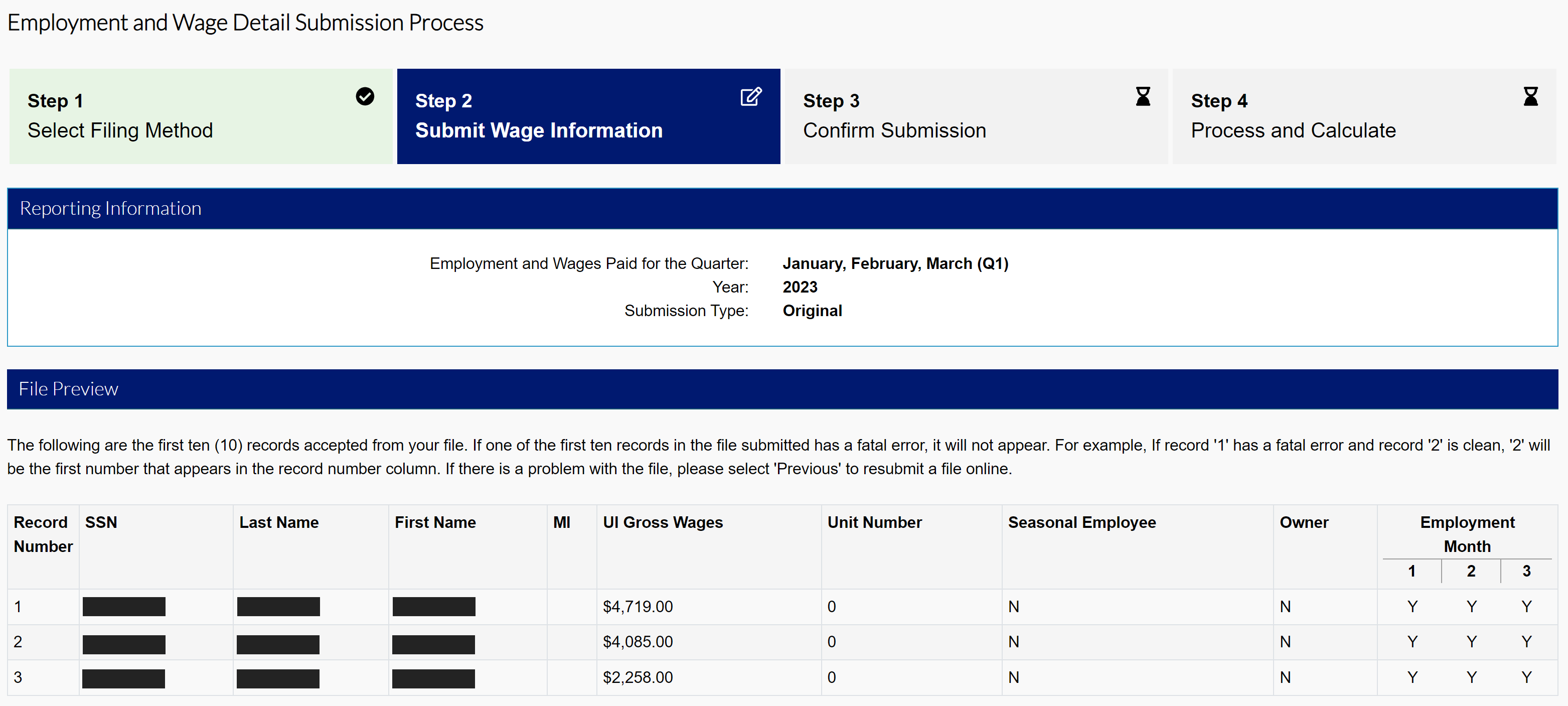 Submit Wage Information screen featuring Reporting Information and File Preview modules.
